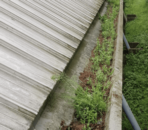 Happy customers in Olney who trust The Roof Moss Cleaners for gutter cleaning services