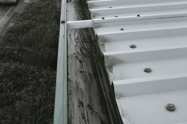Commercial gutter cleaning specialists in Olney